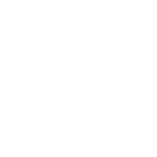 security system icon
